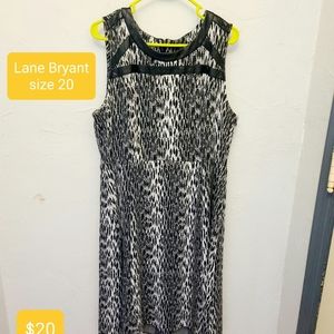 Lane Bryant dreas